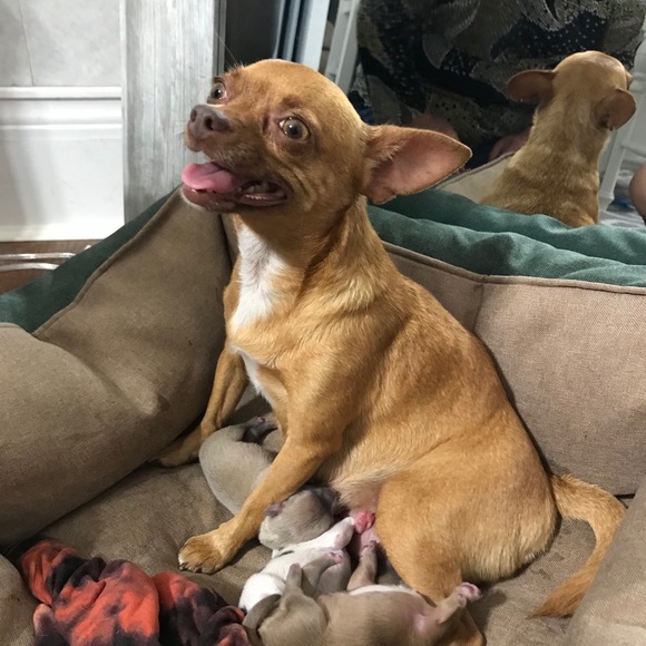 Meet your Posher, Javier - Picture 1 of 1